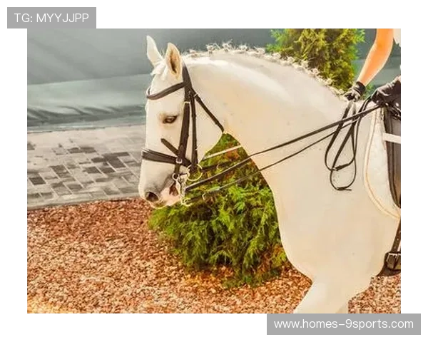 法国马术协会引入智能马鞍系统，实现实时数据监测与分析，提升骑乘体验。